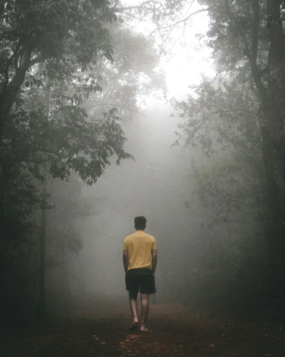 man walking through a foggy forest trail towards the sun