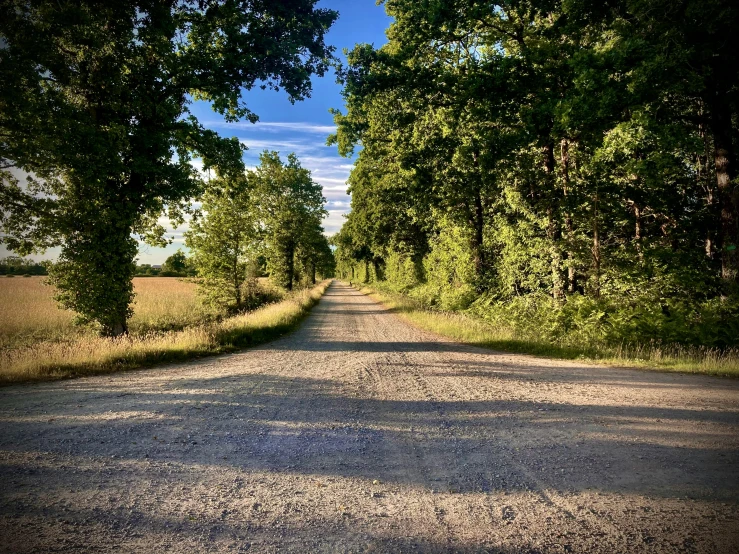 a dirt road going through the middle of an area