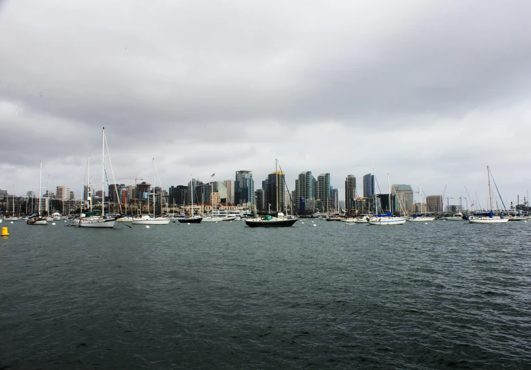 a harbor with lots of boats and tall buildings