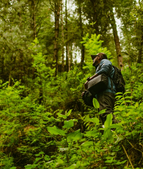 a man with a blue backpack is walking through the woods