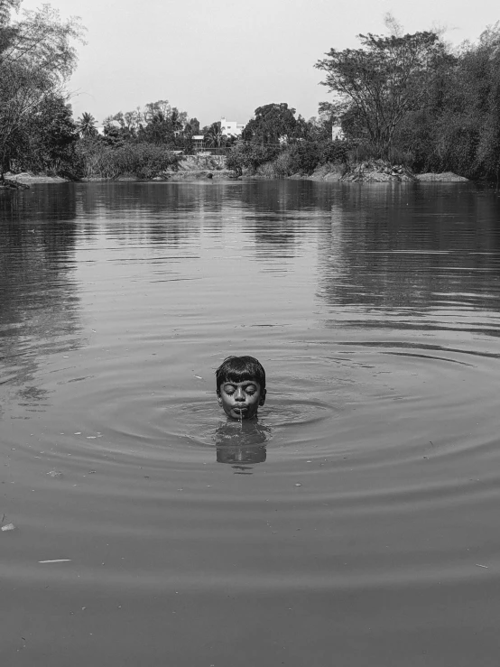 a bird floating on top of a body of water