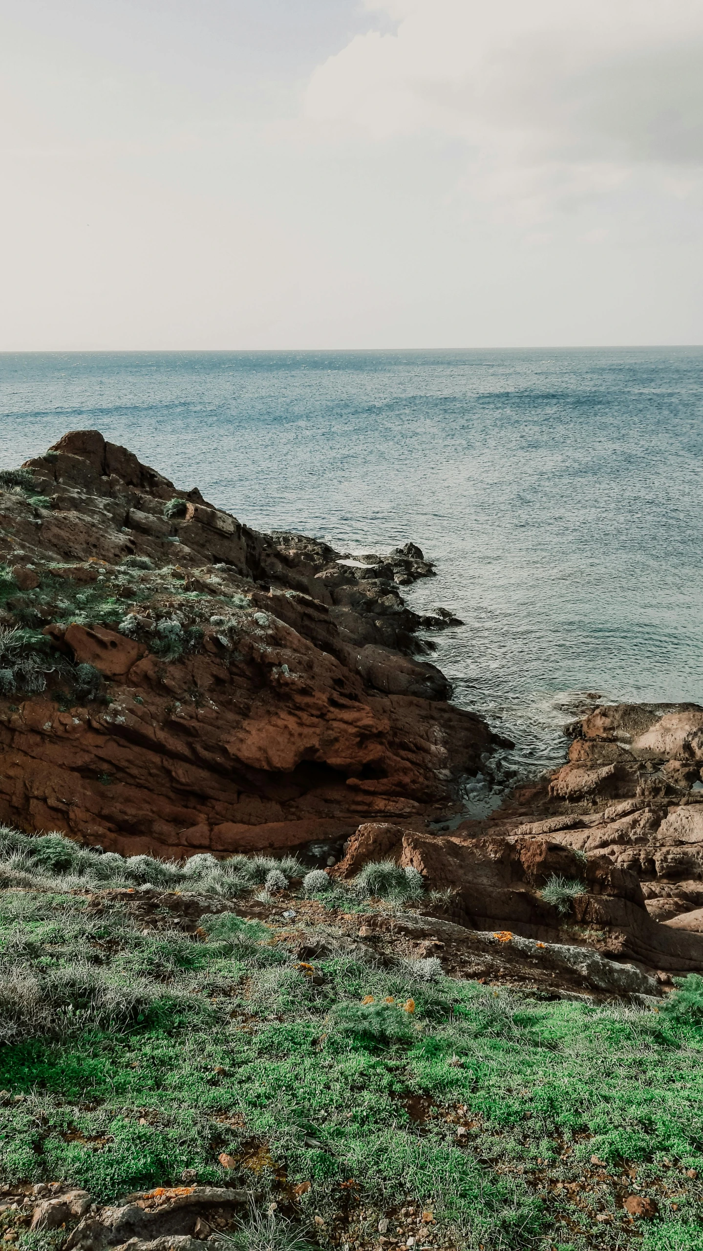 a group of birds sitting on top of a rocky outcropping next to the ocean