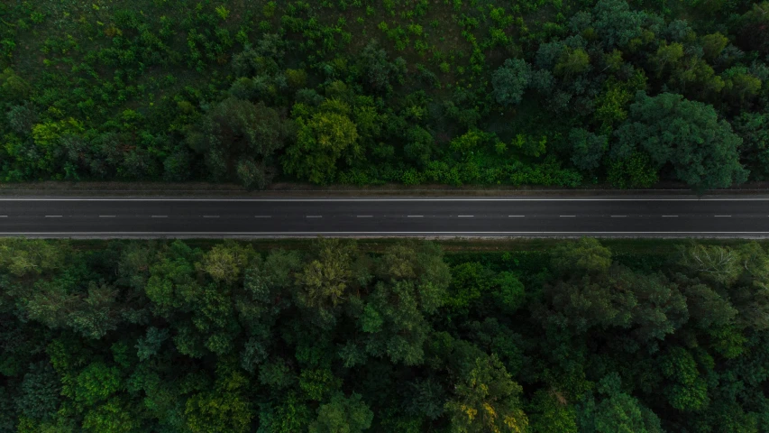 an aerial view of the top down car tracks