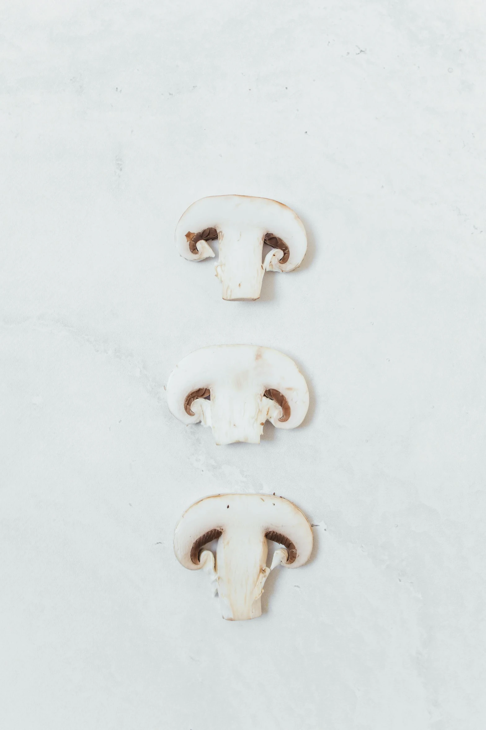 a couple of white mushrooms that are on the side of a building