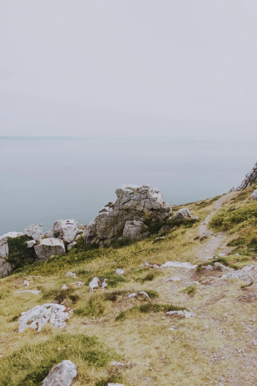 an image of a grass area with rocks and sea view