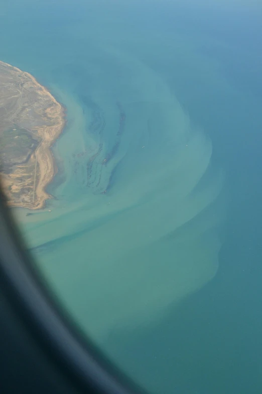 there are many seaweed that can be seen here in the water