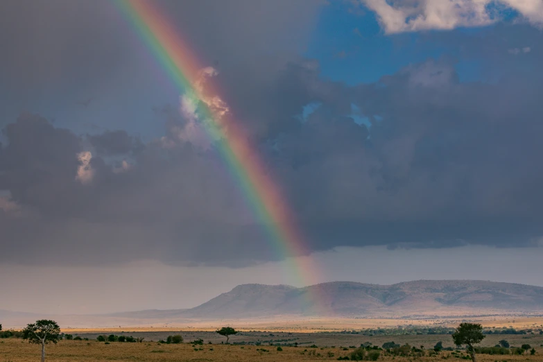 a rainbow shines in the distance and over a field