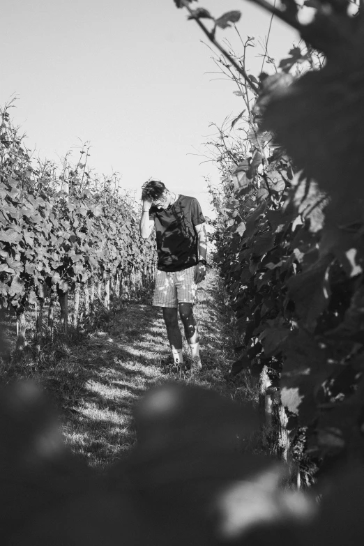 a person standing alone in a field with some trees