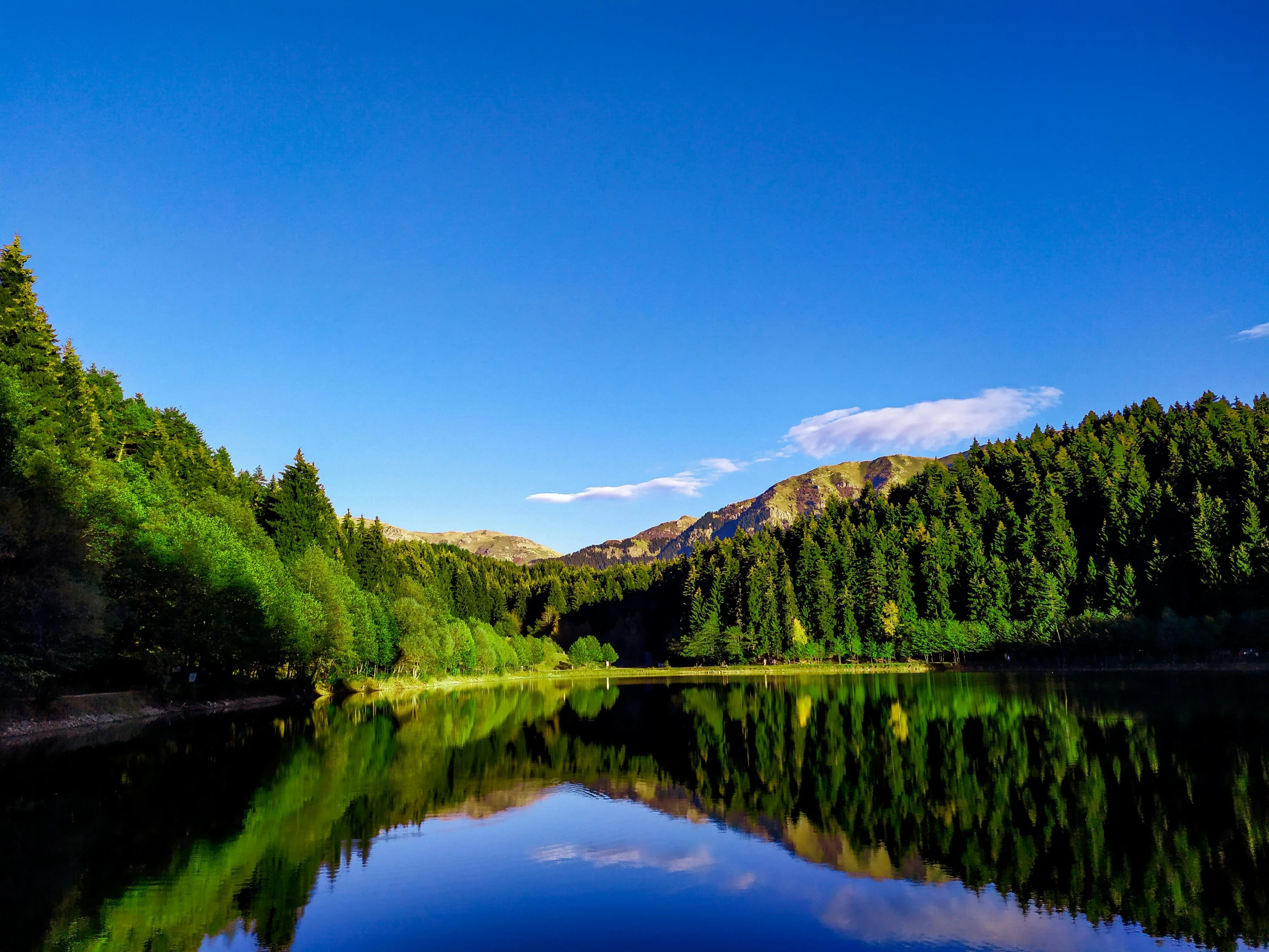 a blue sky is shown above the water and trees