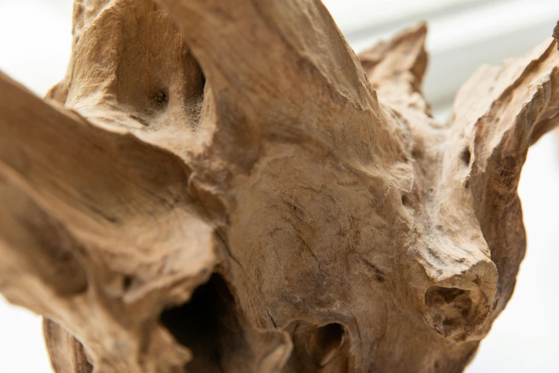 close up po of a wooden statue with its curved end