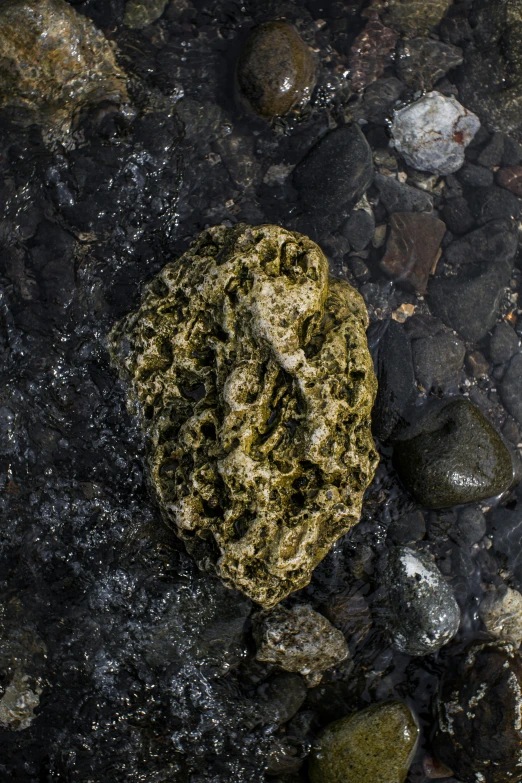 there is a rock under some water