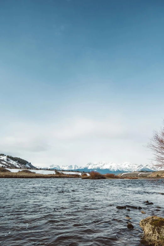 a tree and some rocks by a river