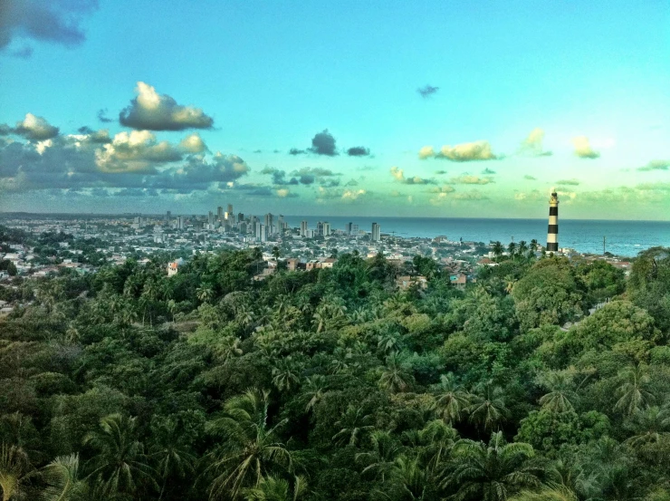 a distant view of the city skyline from a hill overlooking the ocean