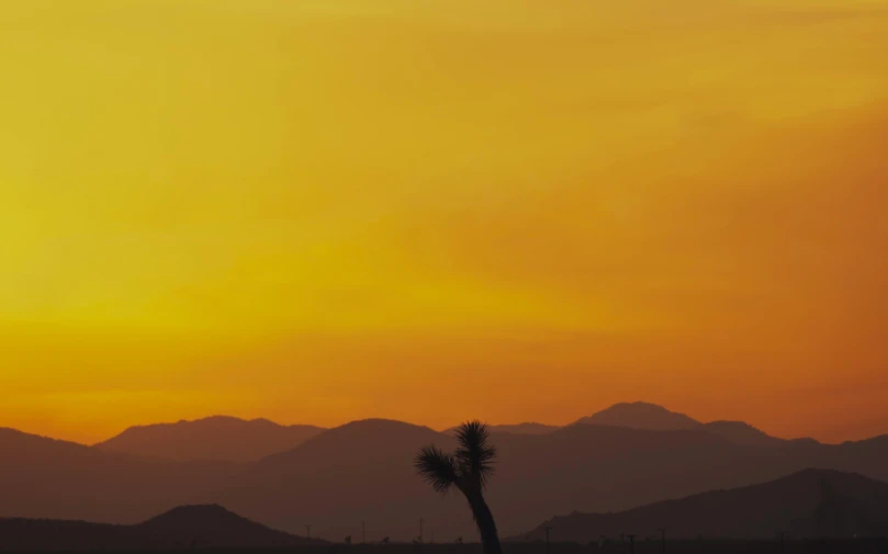 the sky above a mountain range at sunset with a tree in the foreground