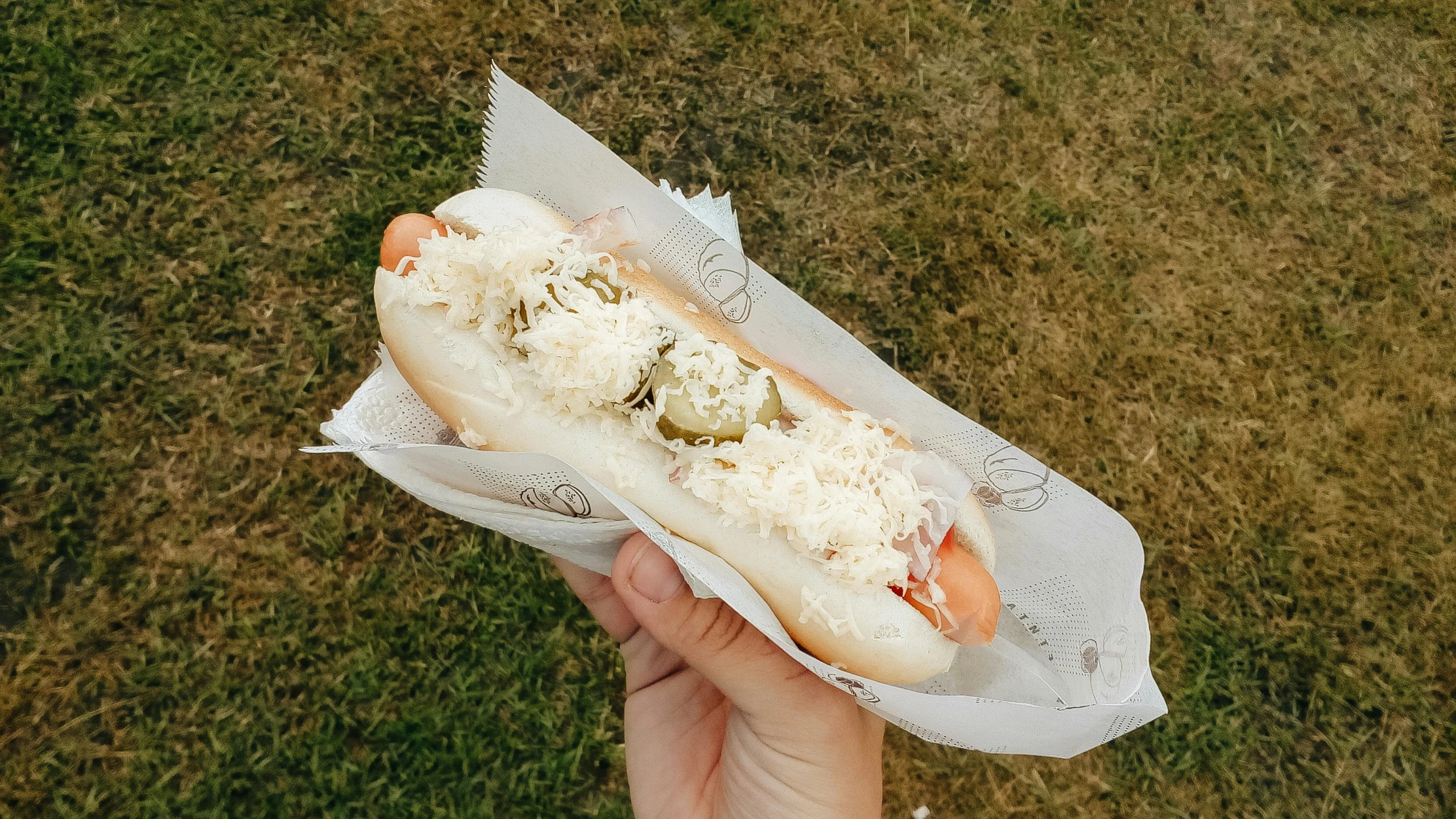 a person holding up a  dog in a bun on some grass