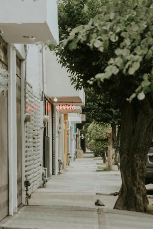 a sidewalk is pictured in this image