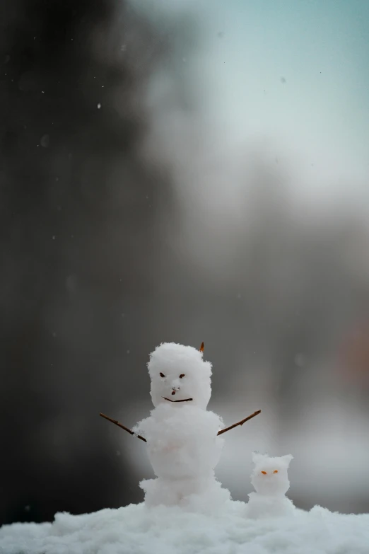 a snowman with a cat on the back