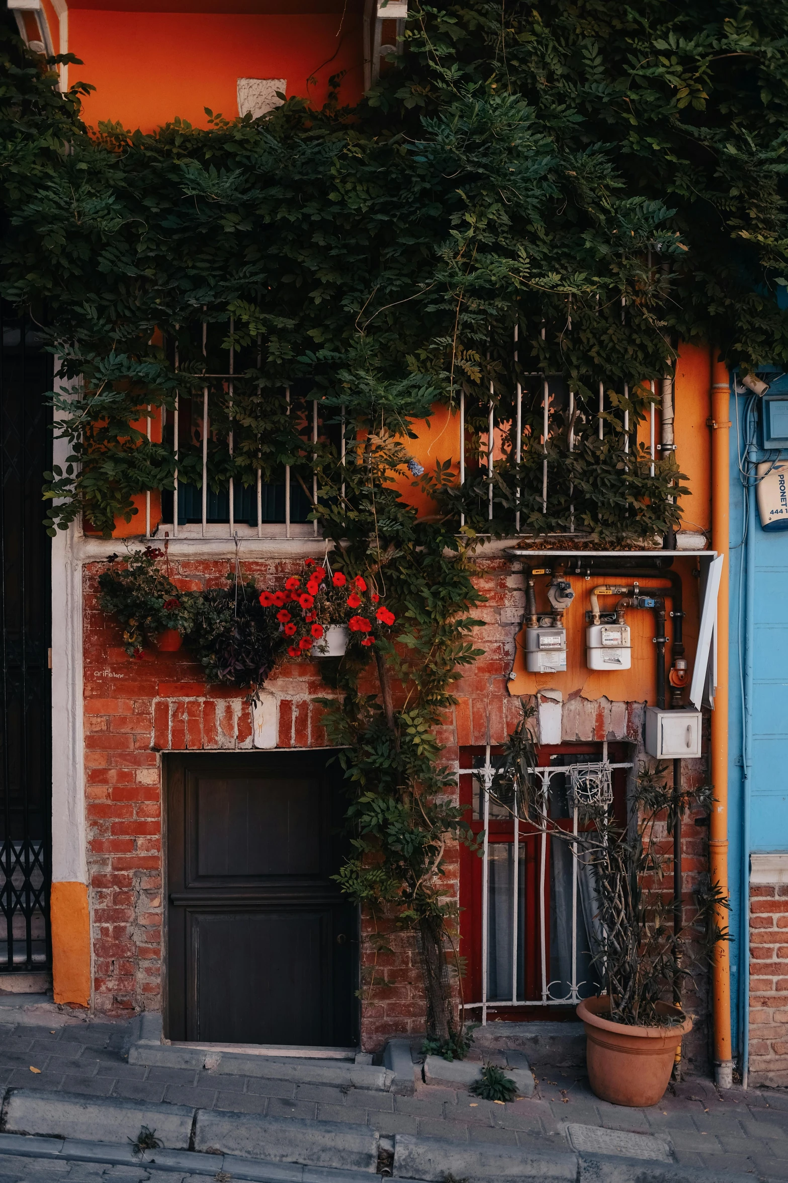 an apartment building covered with plants and hanging over the windows