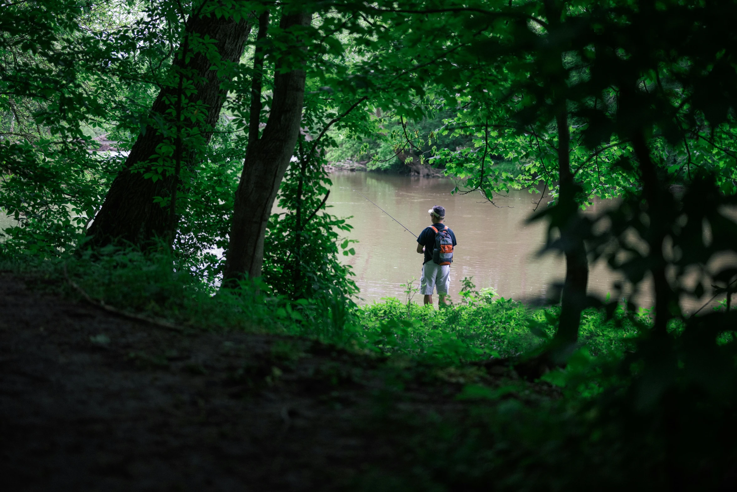 a man stands by the edge of a pond in the middle of forest