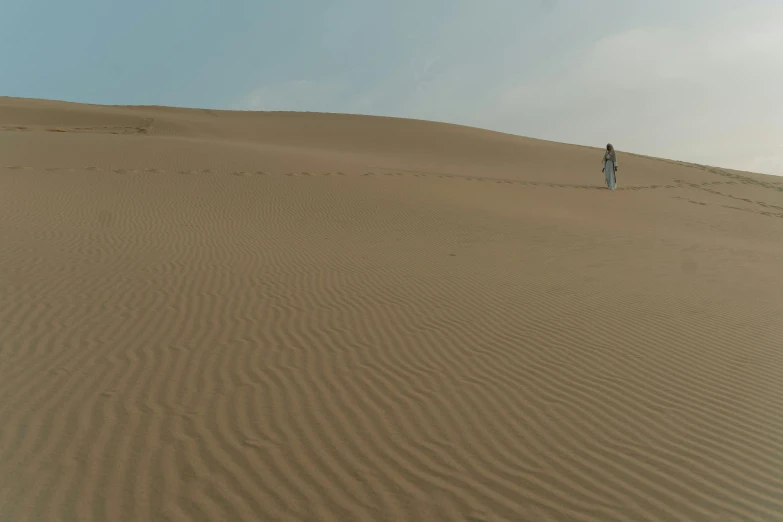 an arid area with sand and sp vegetation and a person standing on top