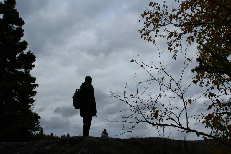 a person standing alone in the woods against a cloudy sky