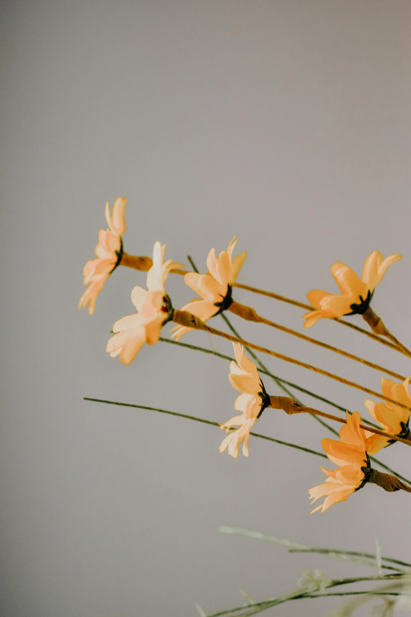 a bouquet of orange flowers on top of green stems