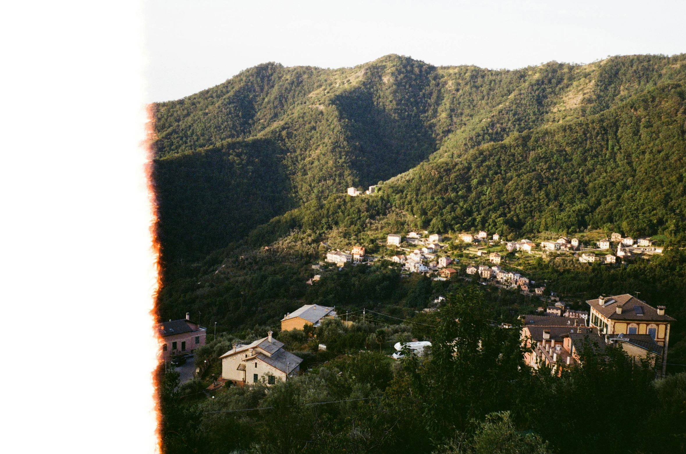 an area that has a lot of green hills