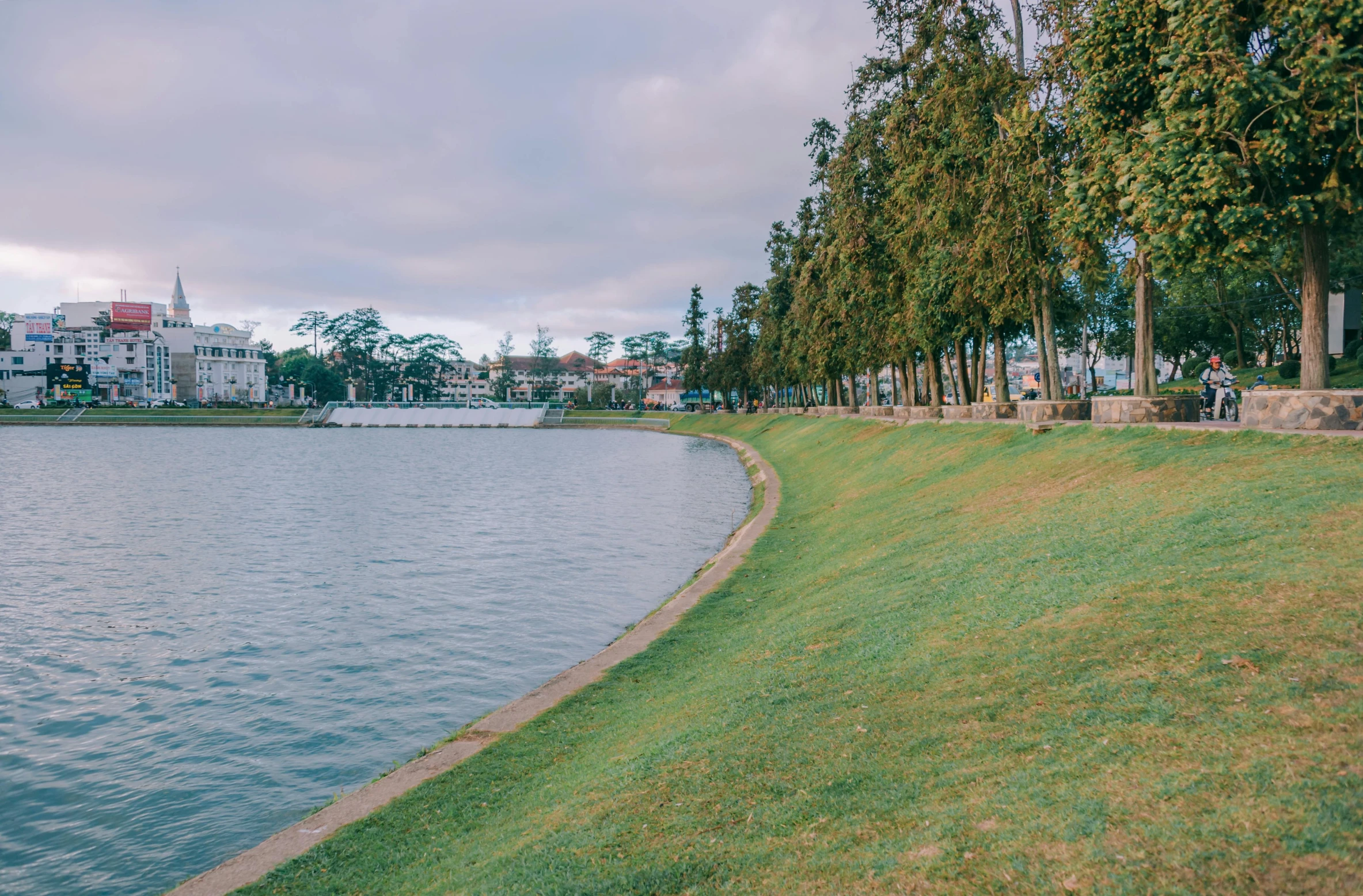 trees and people walking on a green grassy path by the water