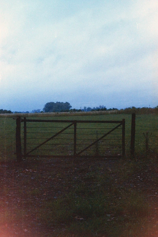 a horse standing next to a wooden fence
