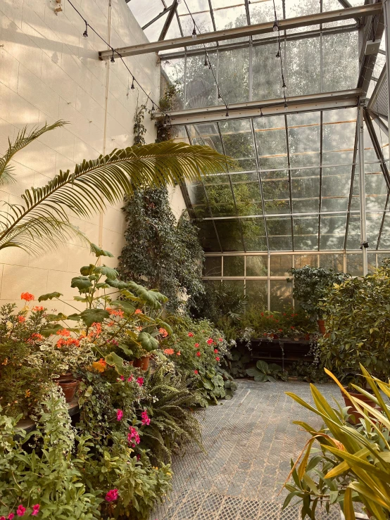 a garden area is covered in many colorful flowers