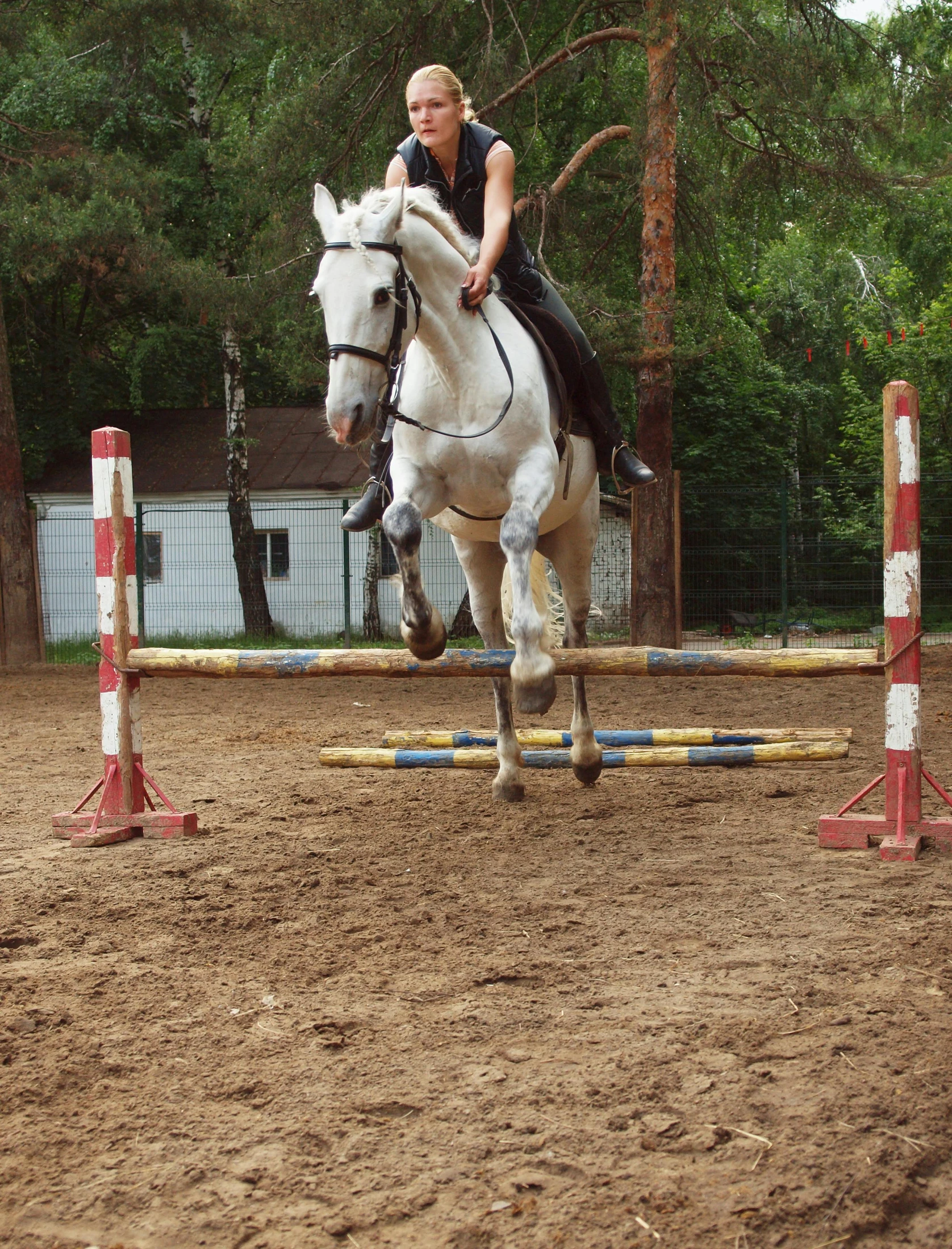 a woman is riding on a horse over an obstacle course