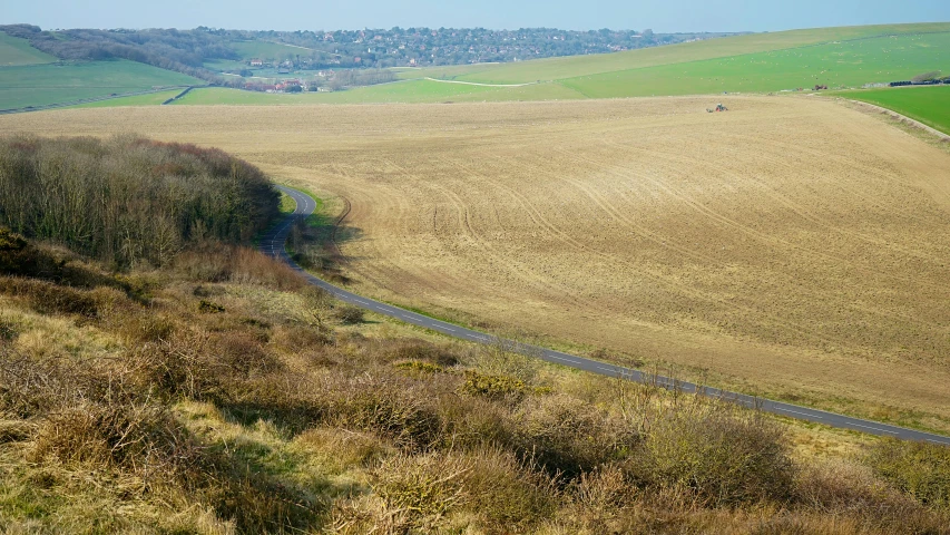 a dirt road and fields with many trees in the distance