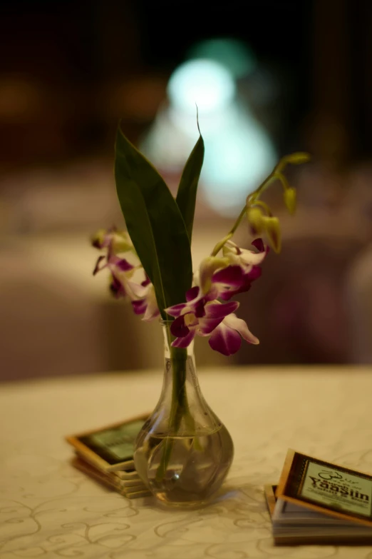 a vase on a table with a flower in it