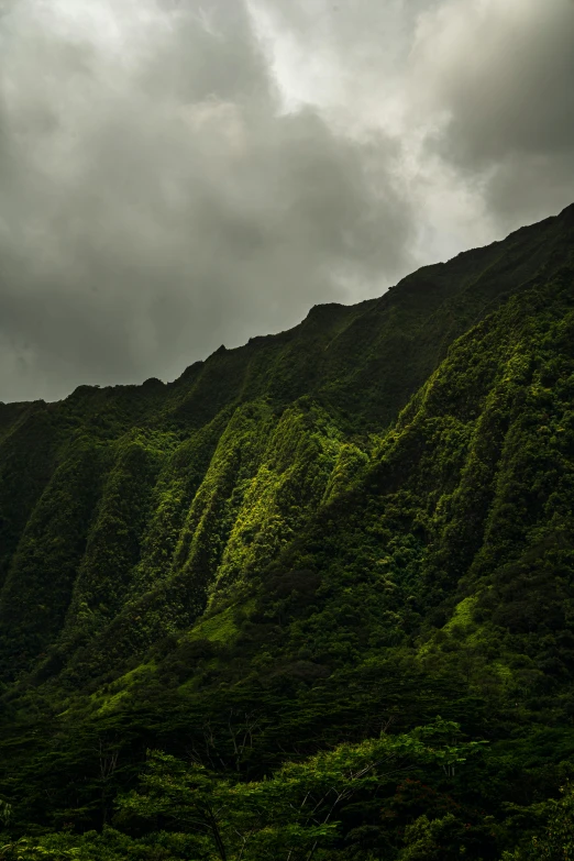 a mountain range covered in green foliage under a cloudy sky