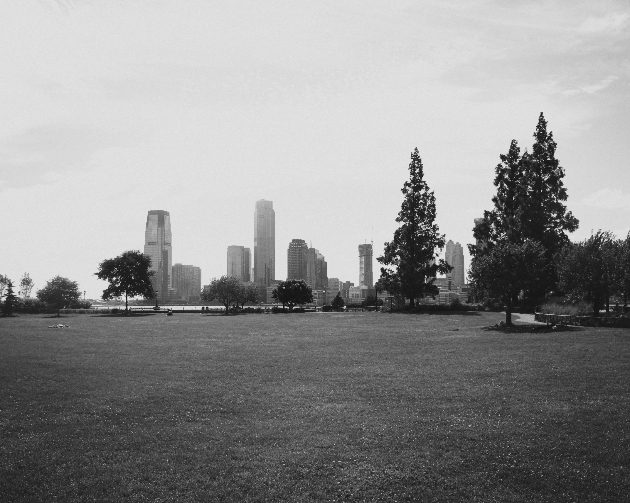 an open park with benches and tall buildings in the background