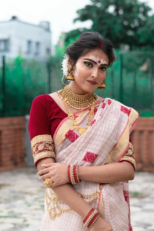 a beautiful woman in a traditional indian dress