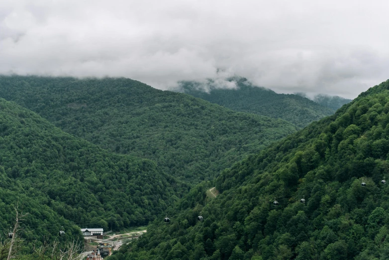 many mountains with lots of trees on the side