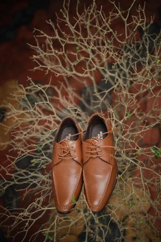 a pair of brown shoes standing on a colorful background