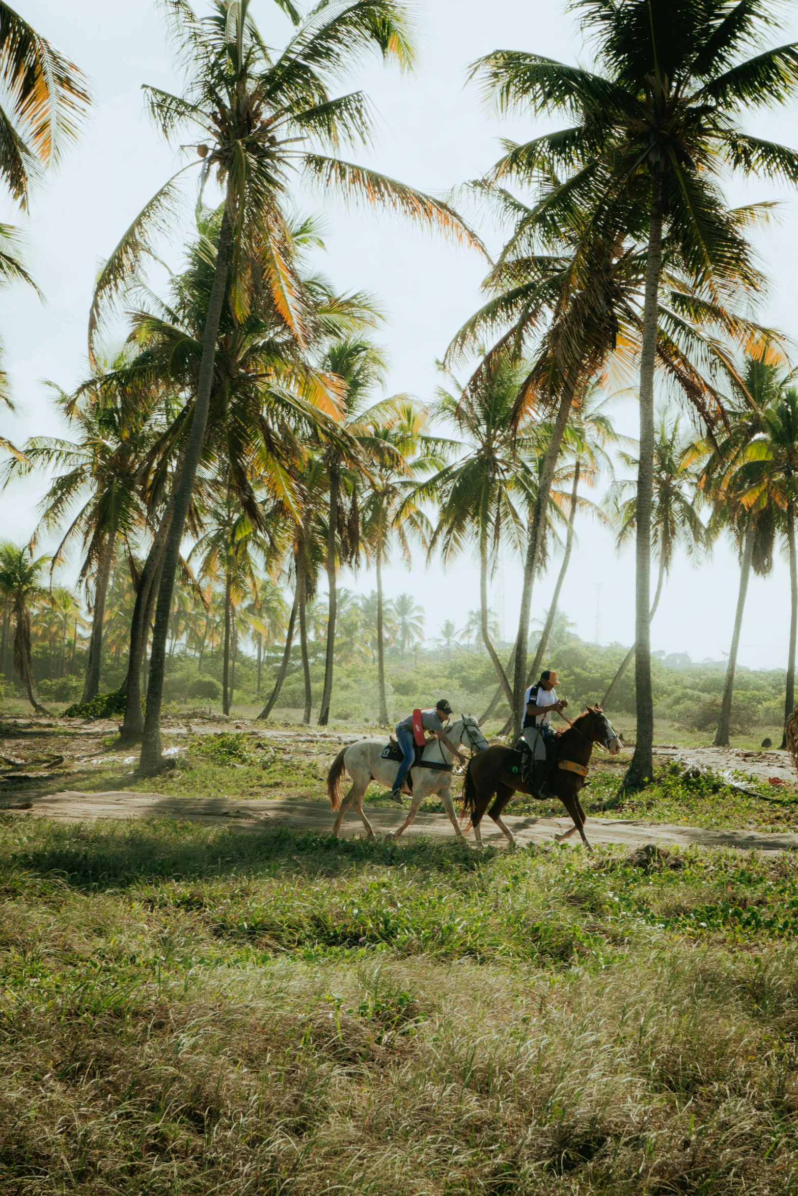 two people on horses riding down a trail