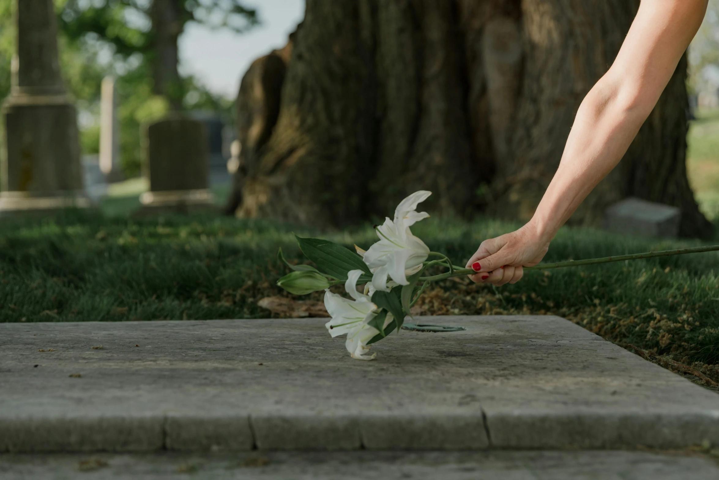 a person places flowers on a grave