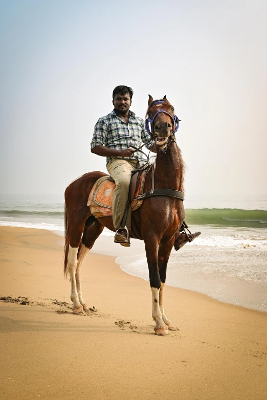 a man sits on top of a horse near the beach