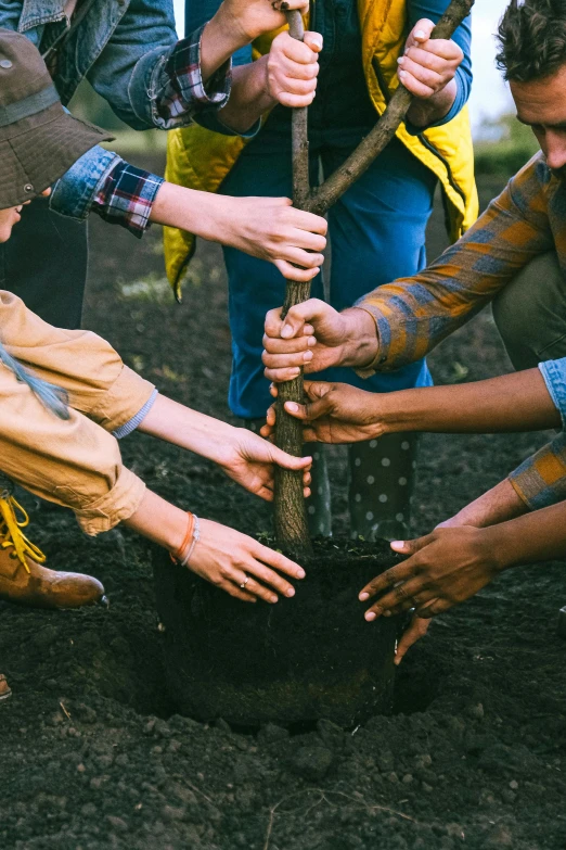 people are putting the first bit into the small black pot