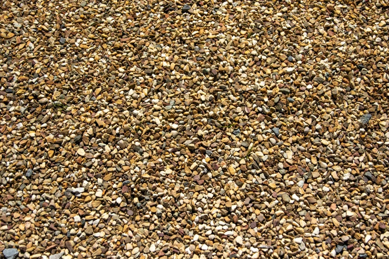 closeup of the rocks and gravel of the ground