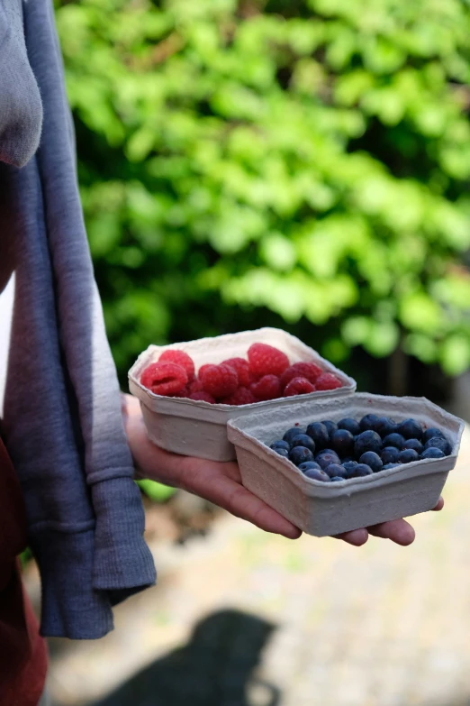 a person holds two trays with berries and another is holding a small bowl of berries