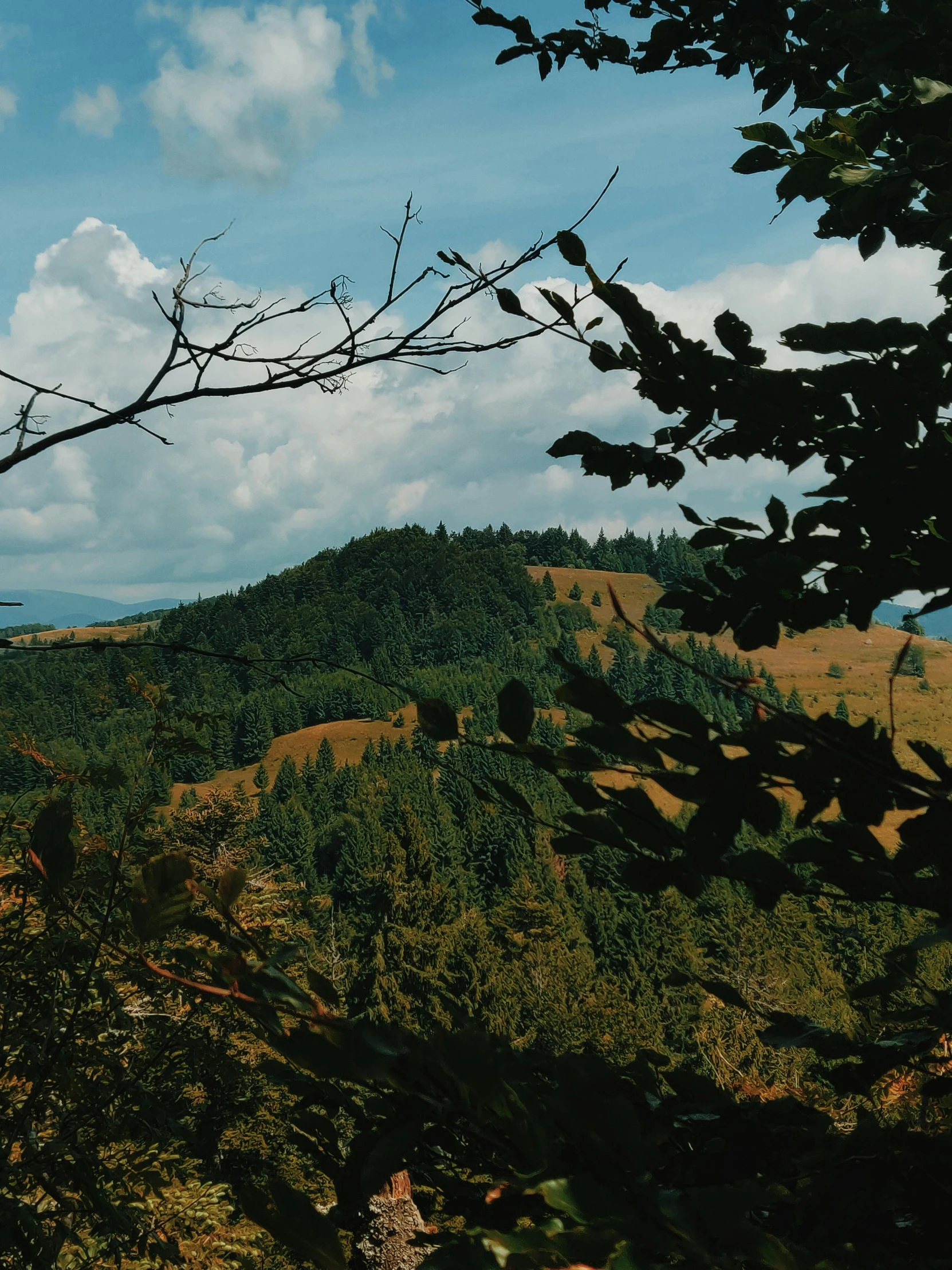 the view from above a mountain shows a few trees