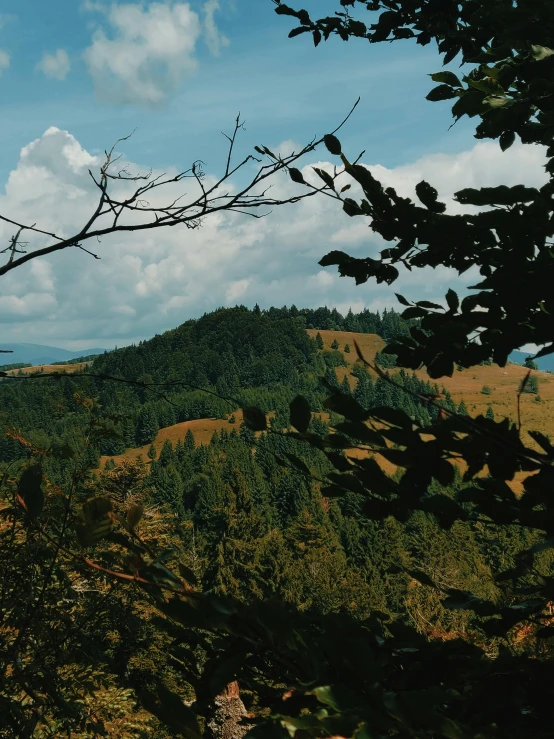 the view from above a mountain shows a few trees