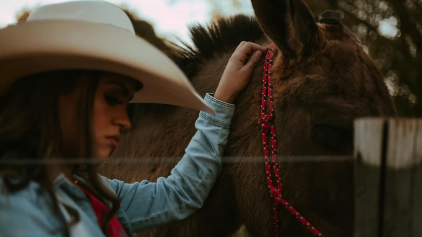 a girl with cowboy hats petting a brown horse