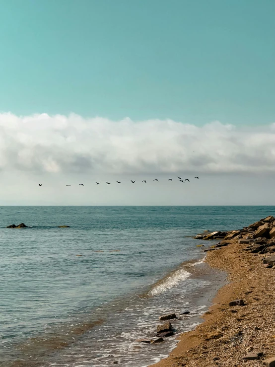 many birds are flying over the beach water