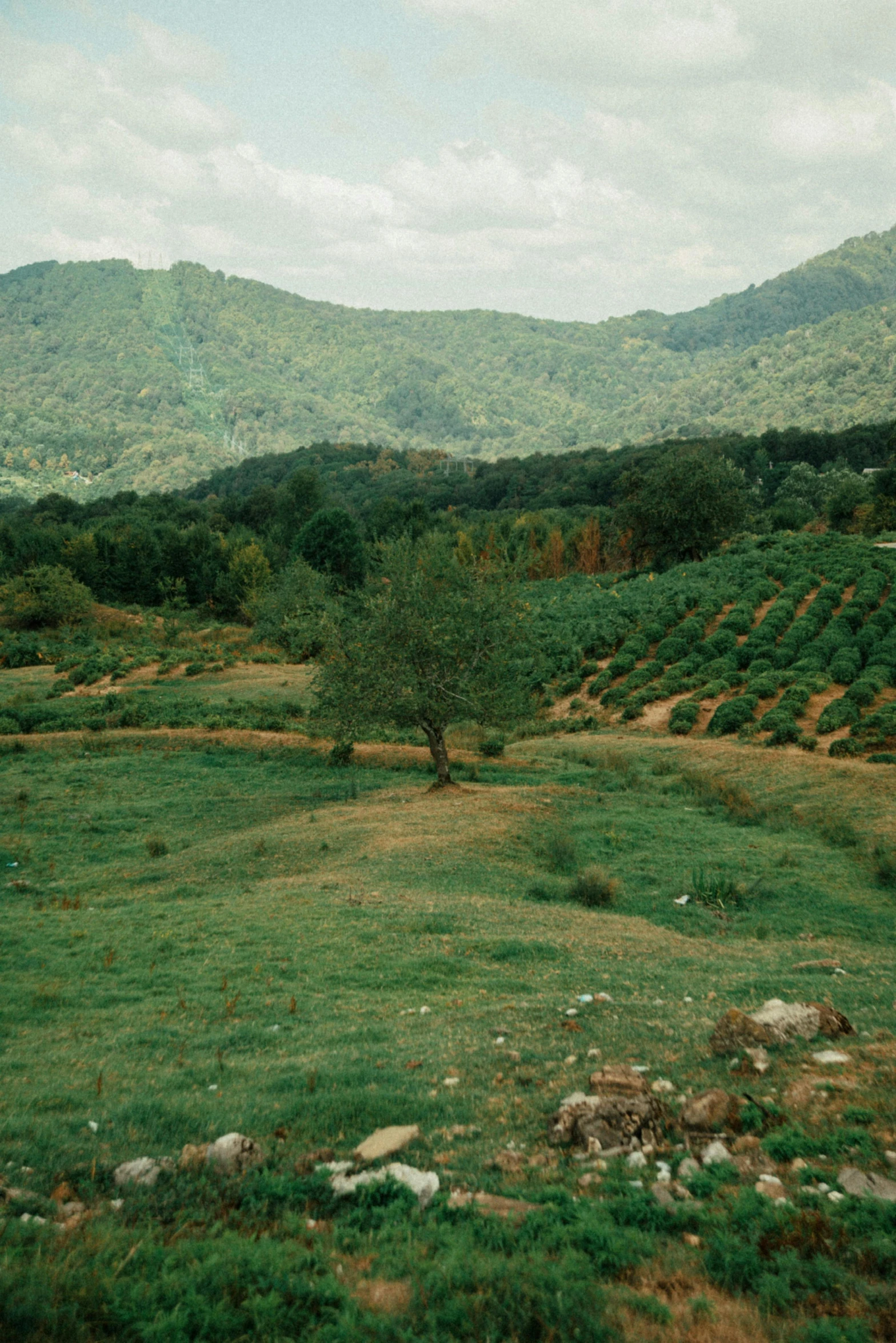 a hill with hills in the distance