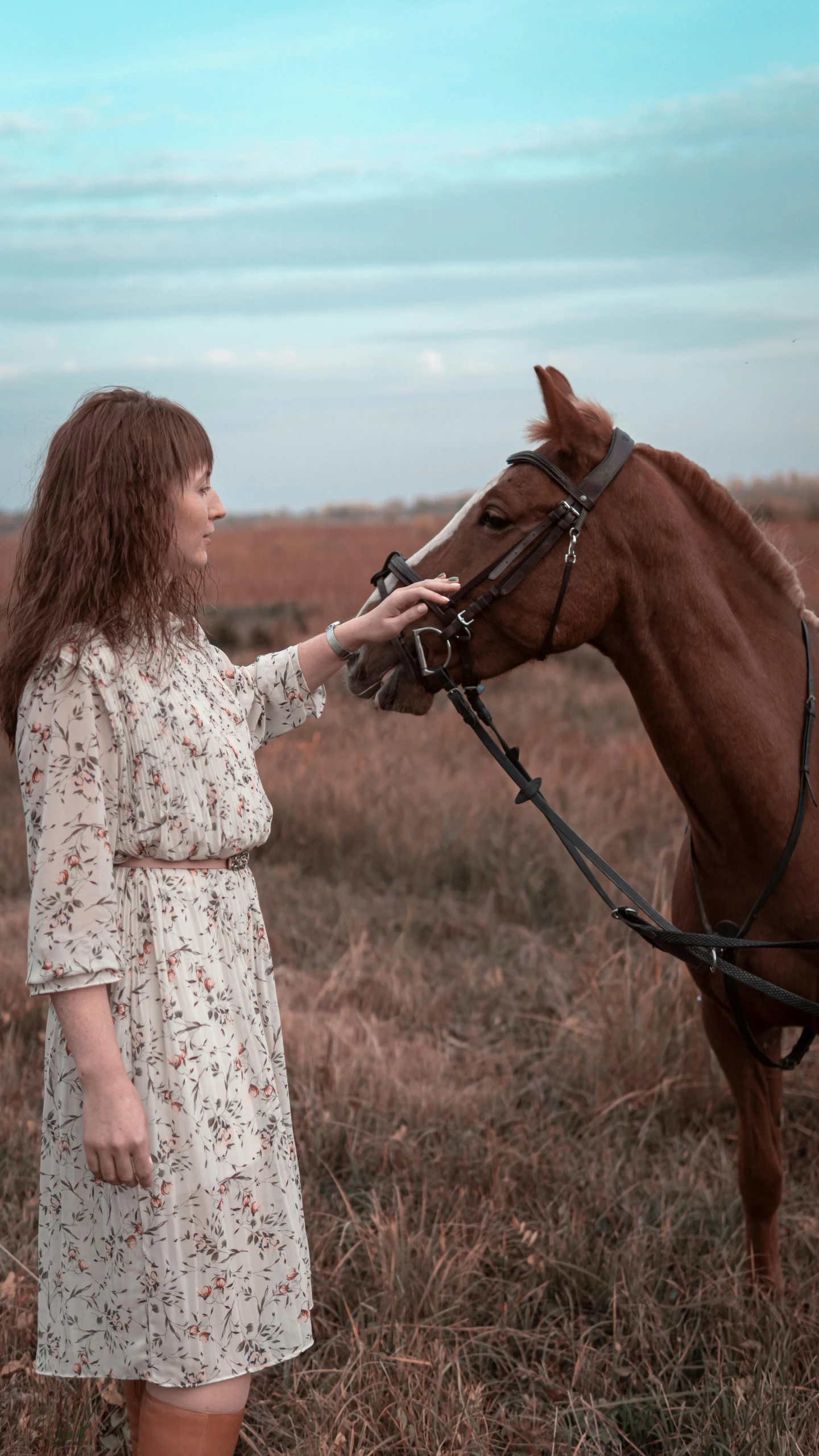 a woman in dress pets a horse with halters